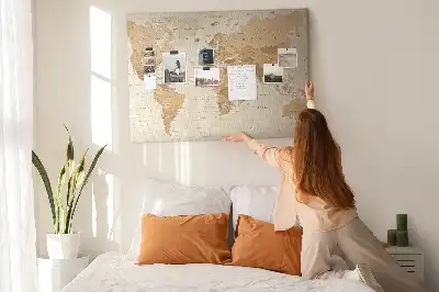 Tableau en liège déco Pays et frontières du globe