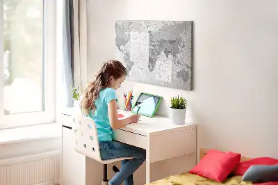 Tableau en liège déco Carte politique du monde scolaire