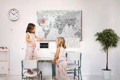 Tableau en liège déco Carte politique du monde scolaire