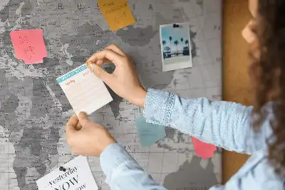 Tableau en liège déco Carte politique du monde scolaire