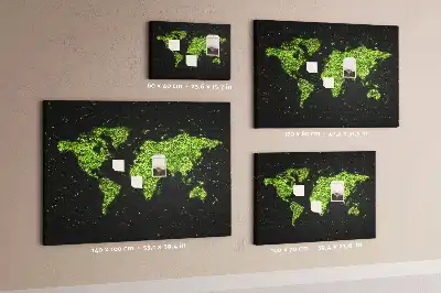 Tableau en liège déco Globe terrestre entier terres