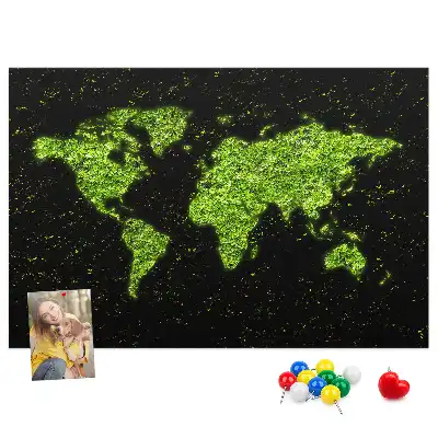 Tableau en liège déco Globe terrestre entier terres