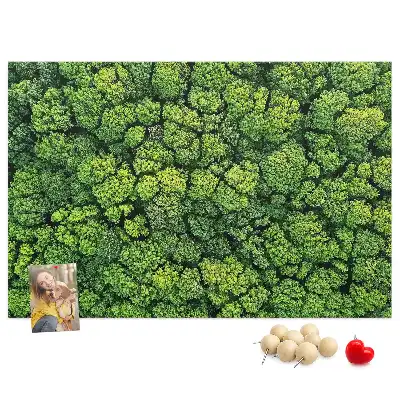 Tableau en liège déco Forêt à vol d'oiseau