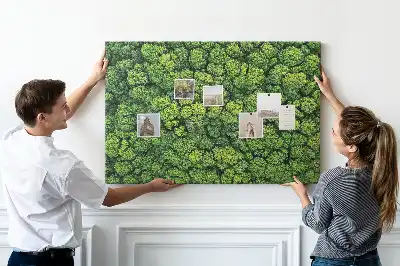 Tableau en liège déco Forêt à vol d'oiseau