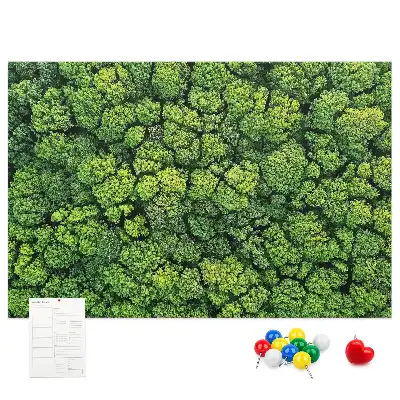 Tableau en liège déco Forêt à vol d'oiseau