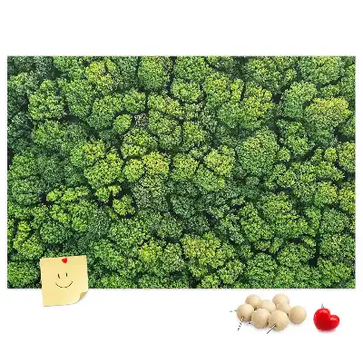 Tableau en liège déco Forêt à vol d'oiseau