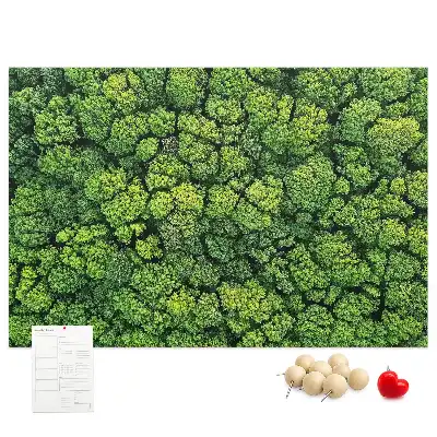 Tableau en liège déco Forêt à vol d'oiseau