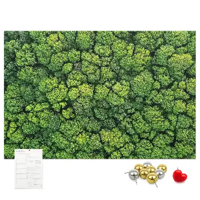 Tableau en liège déco Forêt à vol d'oiseau