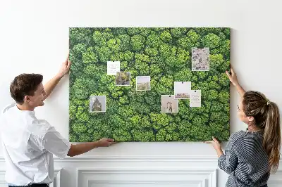 Tableau en liège déco Forêt à vol d'oiseau