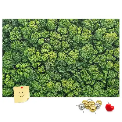 Tableau en liège déco Forêt à vol d'oiseau