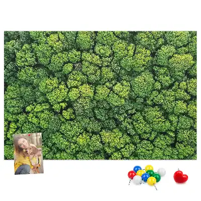 Tableau en liège déco Forêt à vol d'oiseau