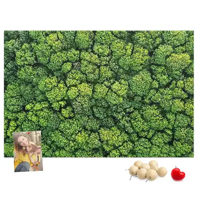 Tableau en liège déco Forêt à vol d'oiseau