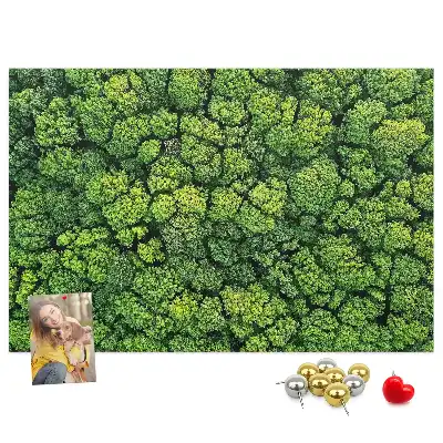 Tableau en liège déco Forêt à vol d'oiseau