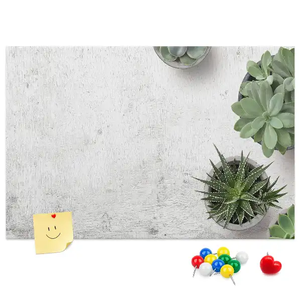 Tableau d’affichage en liège Plantes décoratives
