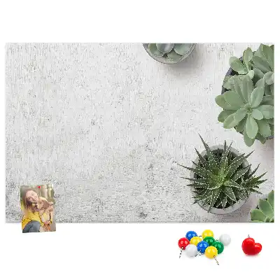 Tableau d’affichage en liège Plantes décoratives