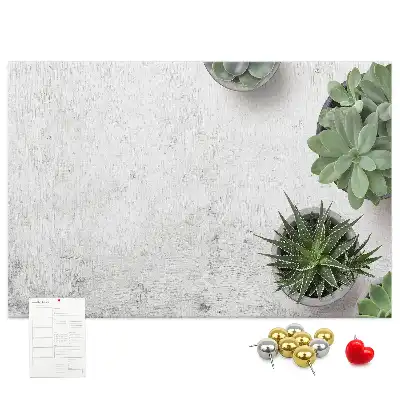 Tableau d’affichage en liège Plantes décoratives