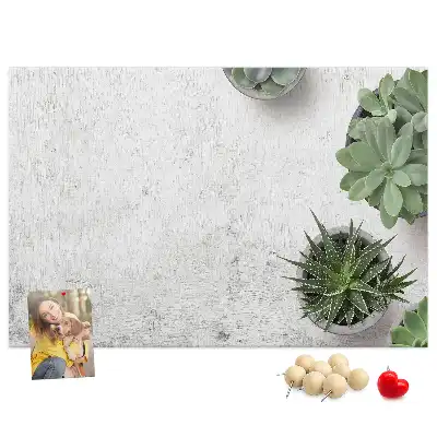Tableau d’affichage en liège Plantes décoratives