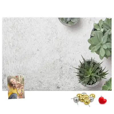 Tableau d’affichage en liège Plantes décoratives