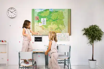 Tableau en liège déco Carte physique de la Pologne