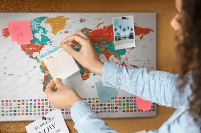 Tableau en liège déco Carte colorée du monde