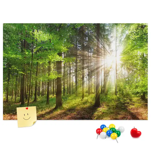 Tableau d’affichage en liège Forêt lever du soleil