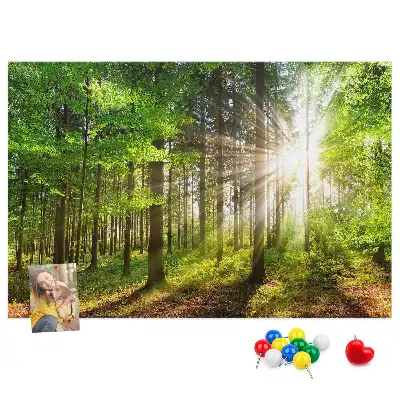 Tableau d’affichage en liège Forêt lever du soleil