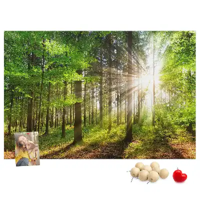 Tableau d’affichage en liège Forêt lever du soleil