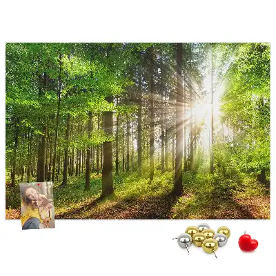 Tableau d’affichage en liège Forêt lever du soleil