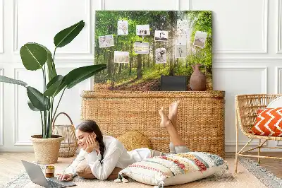 Tableau d’affichage en liège Forêt lever du soleil