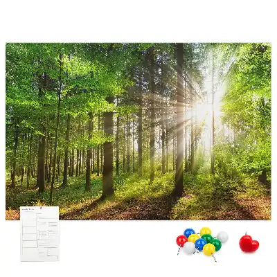 Tableau d’affichage en liège Forêt lever du soleil