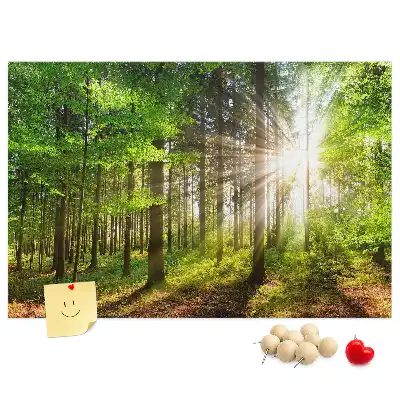 Tableau d’affichage en liège Forêt lever du soleil