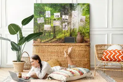 Tableau d’affichage en liège Forêt lever du soleil