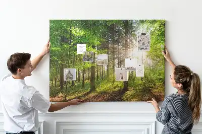 Tableau d’affichage en liège Forêt lever du soleil