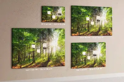 Tableau d’affichage en liège Forêt lever du soleil
