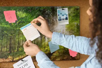 Tableau d’affichage en liège Forêt lever du soleil