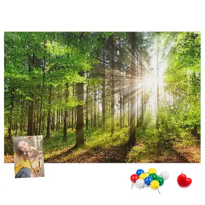 Tableau d’affichage en liège Forêt lever du soleil
