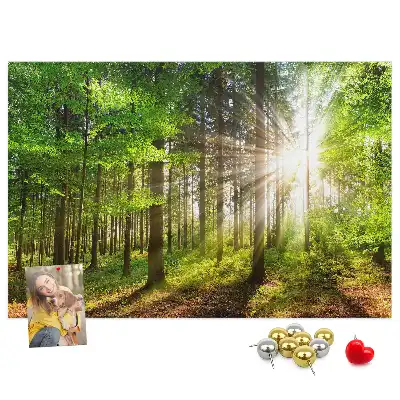Tableau d’affichage en liège Forêt lever du soleil