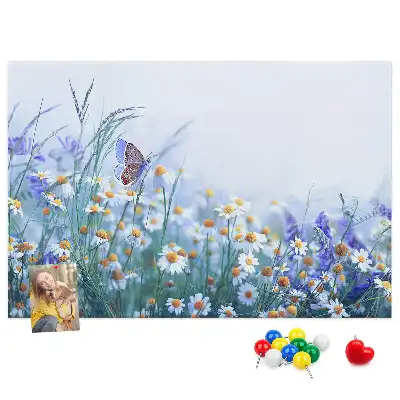 Tableau d’affichage en liège Papillon dans le pré