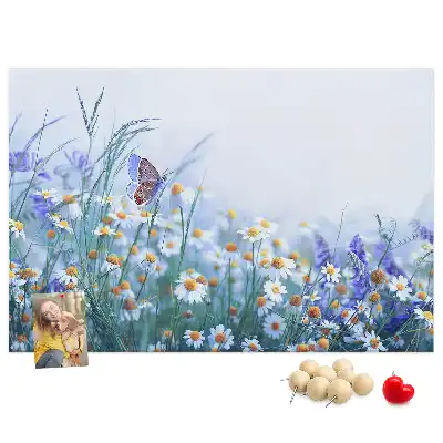 Tableau d’affichage en liège Papillon dans le pré