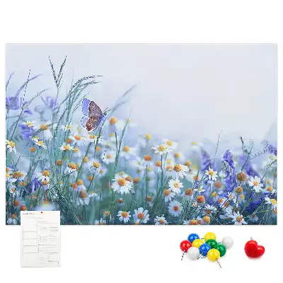 Tableau d’affichage en liège Papillon dans le pré