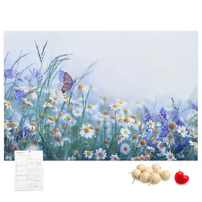 Tableau d’affichage en liège Papillon dans le pré