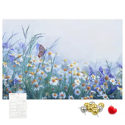 Tableau d’affichage en liège Papillon dans le pré