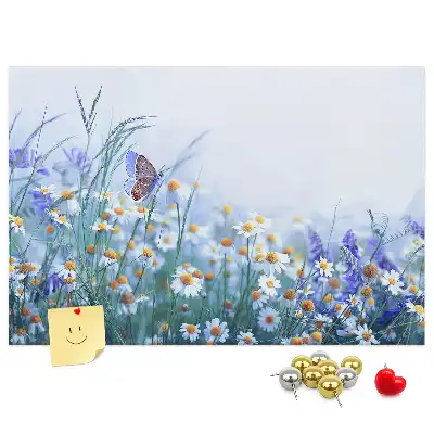 Tableau d’affichage en liège Papillon dans le pré