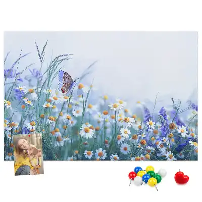 Tableau d’affichage en liège Papillon dans le pré
