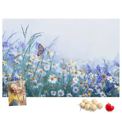 Tableau d’affichage en liège Papillon dans le pré