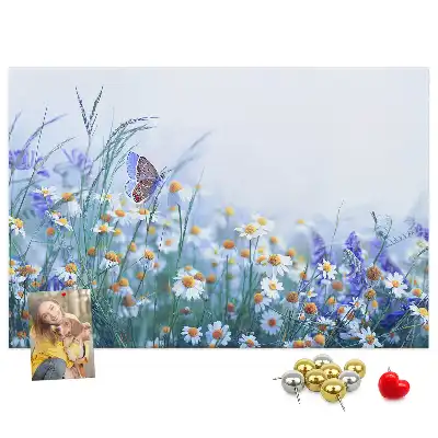 Tableau d’affichage en liège Papillon dans le pré