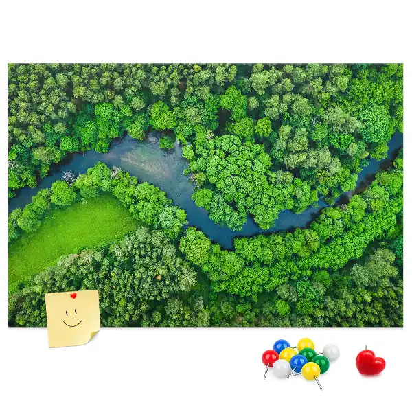 Tableau en liège déco Rivière dans la forêt