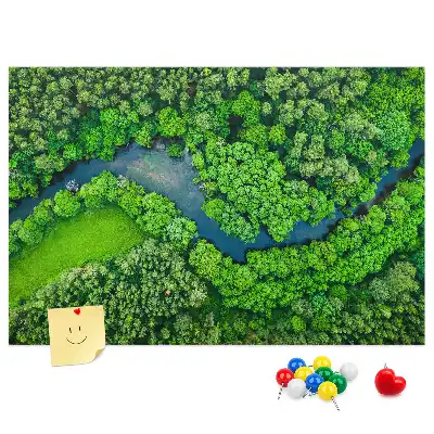 Tableau en liège décoratif Rivière dans la forêt