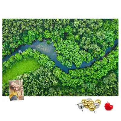 Tableau en liège déco Rivière dans la forêt