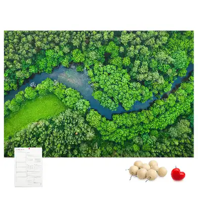 Tableau en liège déco Rivière dans la forêt